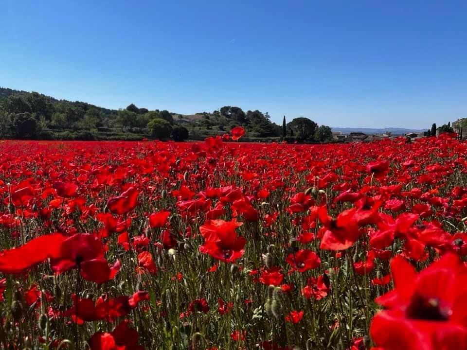 فيلا La Roubine, Velleron المظهر الخارجي الصورة